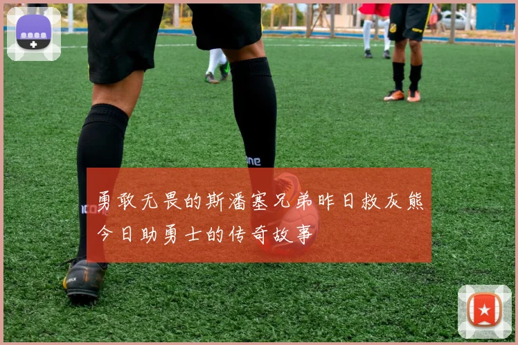 勇敢无畏的斯潘塞兄弟昨日救灰熊今日助勇士的传奇故事