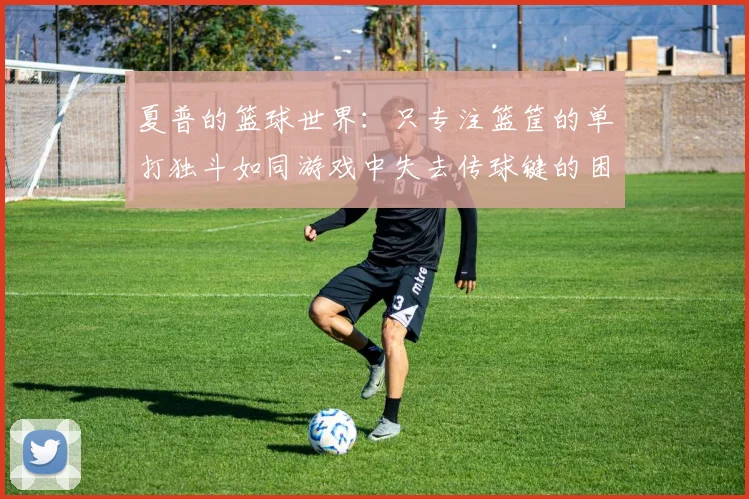 夏普的篮球世界：只专注篮筐的单打独斗如同游戏中失去传球键的困境