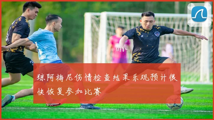 琼阿梅尼伤情检查结果乐观预计很快恢复参加比赛