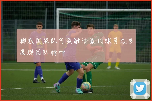 挪威国家队气氛融洽豪门球员众多展现团队精神