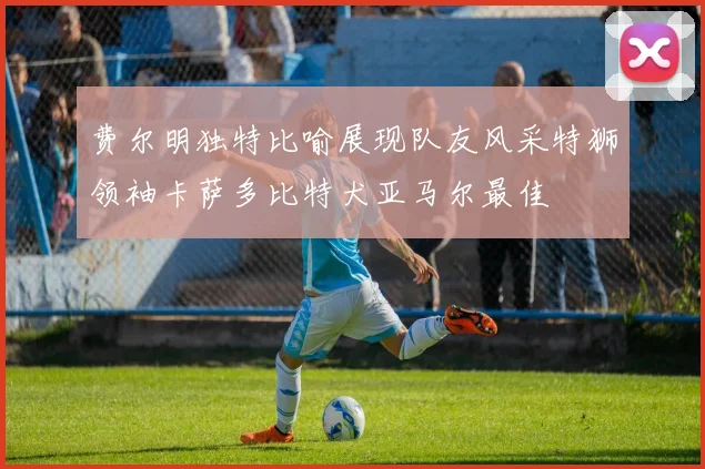 费尔明独特比喻展现队友风采特狮领袖卡萨多比特犬亚马尔最佳